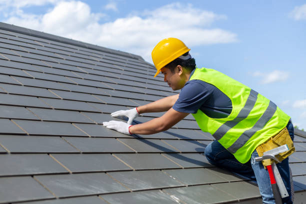 Best Residential Roofing Contractor  in Davis Junction, IL