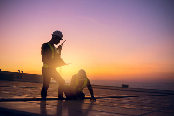 Roof Gutter Cleaning in Davis Junction, IL