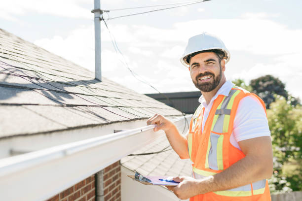 Best Slate Roofing Contractor  in Davis Junction, IL