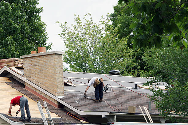 Best Commercial Roofing Services  in Davis Junction, IL