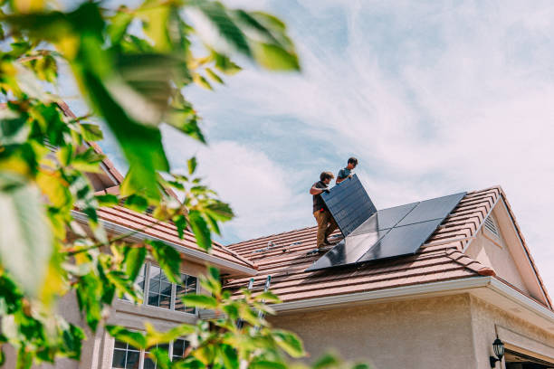 Best Local Roofing Companies  in Davis Junction, IL