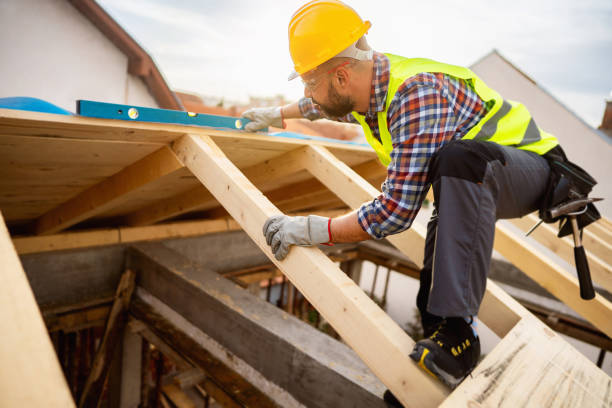 Best Storm Damage Roof Repair  in Davis Junction, IL