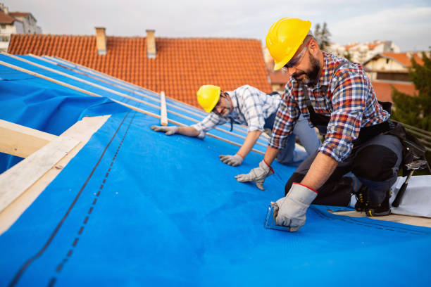 Quick and Trustworthy Emergency Roof Repair Services in Davis Junction, IL