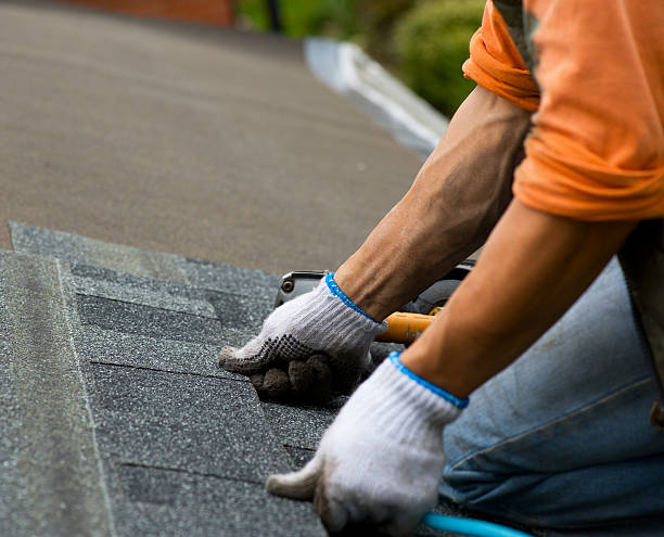 Trusted Davis Junction, IL Roofing Contractor Experts