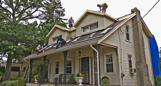 Best Residential Roof Replacement  in Davis Junction, IL
