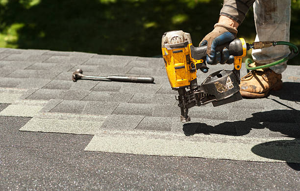 Best Commercial Roofing Services  in Davis Junction, IL