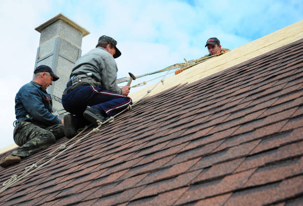 Best Commercial Roofing Services  in Davis Junction, IL