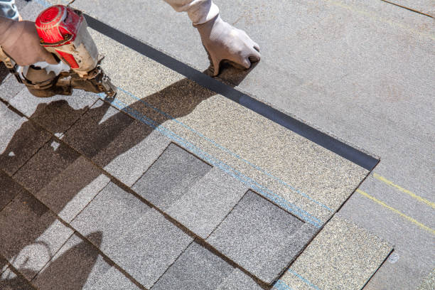 Best Residential Roofing Contractor  in Davis Junction, IL