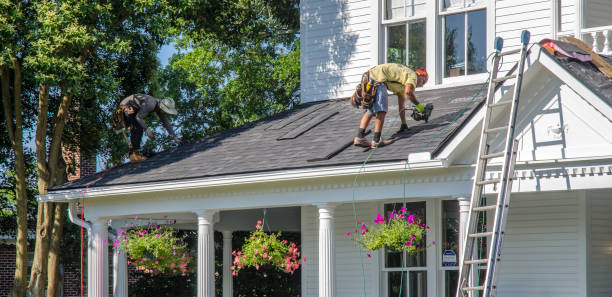Residential Roof Replacement in Davis Junction, IL